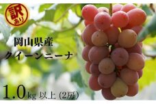 訳あり　クイーンニーナ　2房 合計1.0kg以上 産地直送 朝採れ ぶどう 葡萄 岡山 Kawahara Green Farm 岡山県産 2025