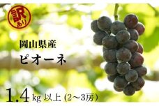 訳あり ニューピオーネ　2～3房 合計1.4kg以上 産地直送 朝採れ ぶどう 葡萄 岡山 Kawahara Green Farm 岡山県産 2025