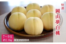 桃 2025年 先行予約 特選 岡山夢白桃 7～9玉 約2kg もも モモ 岡山県産 国産 フルーツ 果物 ギフト