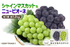 ぶどう 2025年 先行予約 シャインマスカット＆ ニュー ピオーネ  各1房 約1.2kg ブドウ 葡萄 岡山県産 国産 フルーツ 果物 直送！せとうちバスケット
