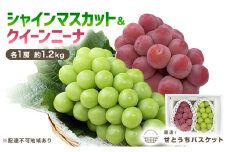 ぶどう 2025年 先行予約 シャインマスカット＆クイーンニーナ  各1房 約1.2kg ブドウ 葡萄 岡山県産 国産 フルーツ 果物 直送！せとうちバスケット