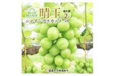 ぶどう 2025年 先行予約 シャイン マスカット 晴王 特大房 2房入り 合計約2kg 大粒 種無し ブドウ 葡萄 岡山県産 国産 フルーツ 果物 ギフト 橋田商店