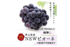 ぶどう 2025年 先行予約 ニューピオーネ 2房(1房480g以上) 化粧箱入り ブドウ 葡萄 岡山県産 国産 フルーツ 果物 ギフト
