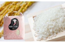 米 令和7年産 石原果樹園の備前乙女米 白米 5kg×1袋 ※11月上旬～順次発送予定 お米 精米 白米 ライス 乳酸菌栽培 岡山県 おにぎり お弁当	