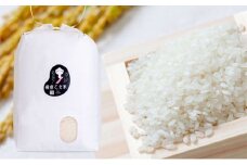 米 令和7年産 石原果樹園の備前乙女米 白米 10kg×1袋 ※11月上旬～順次発送予定 お米 精米 白米 ライス 乳酸菌栽培 岡山県 おにぎり お弁当