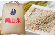 米 令和7年産 石原果樹園の備前乙女米 玄米 30kg×1袋 ※11月上旬～順次発送予定 お米 ライス 乳酸菌栽培 岡山県 おにぎり お弁当