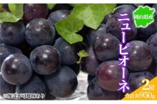 ぶどう 2025年先行予約 ニューピオーネ 2房 約950g 岡山県産 お届け 9月上旬～10月中旬