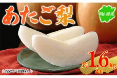 梨 2025年先行予約 岡山県産 あたご梨 約1.6kg 2玉 お届け 11月下旬～12月中旬
