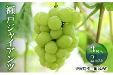 ぶどう 【2025年 先行予約】 瀬戸ジャイアンツ 3房(合計2kg以上) ブドウ 葡萄 岡山県産 国産 フルーツ 果物 ギフト 河本農園