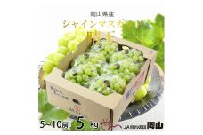 【2025年7月上旬より発送】岡山県産 シャインマスカット 晴王 5kg(5房～10房) ぶどう 葡萄 ブドウ フルーツ 果物