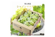 【2025年7月上旬より発送】岡山県産 シャインマスカット 晴王 4kg(5房～10房) ぶどう 葡萄 ブドウ フルーツ 果物
