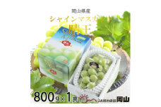 【2025年8月下旬より発送】岡山県産 シャインマスカット 晴王 800g×1房 ぶどう 葡萄 ブドウ フルーツ 果物