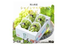 【2025年8月下旬より発送】岡山県産 シャインマスカット 晴王 1.5kg(3房～6房) ぶどう 葡萄 ブドウ フルーツ 果物