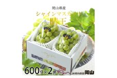 【2025年8月下旬より発送】岡山県産 シャインマスカット 晴王 600g×2房 ぶどう 葡萄 ブドウ フルーツ 果物