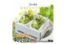 【2025年8月下旬より発送】ご家庭用 岡山県産 シャインマスカット 晴王 400g×2房 ぶどう 葡萄 ブドウ フルーツ 果物