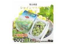 【2025年8月下旬より発送】ご家庭用 岡山県産 シャインマスカット 晴王 600g×1房 ぶどう 葡萄 ブドウ フルーツ 果物