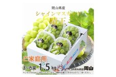 【2025年8月下旬より発送】ご家庭用 岡山県産 シャインマスカット 晴王 1.5kg(3～6房) ぶどう 葡萄 ブドウ フルーツ 果物