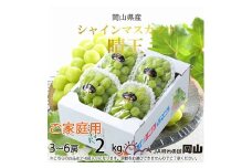 【2025年8月下旬より発送】ご家庭用 岡山県産 シャインマスカット 晴王 2kg(3～6房) ぶどう 葡萄 ブドウ フルーツ 果物
