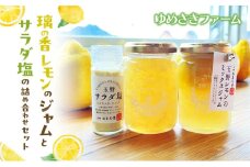 璃の香レモンのジャムとサラダ塩の詰め合わせセット レモン ジャム 塩 詰め合わせ セット 岡山 玉野市