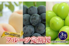 フルーツ 定期便 2026年 先行予約 晴れの国 岡山 の 定期フルーツ定期便 3回コース 桃 もも 葡萄 ブドウ 岡山県産 国産 セット ギフト