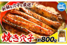 焼き穴子 約800g 笠岡魚市場《45日以内に出荷予定(土日祝除く)》岡山県 笠岡市 穴子 海鮮 魚 お魚