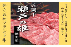 牛肉　B-07 瀬戸の姫（焼肉用）《45日以内に出荷予定(土日祝除く)》