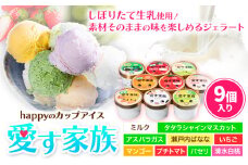 愛す家族 カップアイス 9個入り 笠岡ジェラート 工房ハッピーのカップアイス ハッピー＆甲和株式会社 ジェラート アイス ミルク たたらシャインマスカット 清水白桃 いちご アスパラガス プチトマト 瀬戸内バナナ マンゴー パセリ 岡山県 笠岡市