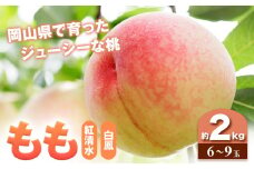 【2025年7月発送】【先行予約】もも 桃 紅清水・白鳳 どちらかお届け 2kg 6～9玉 小寺農園《2025年7月上旬-7月下旬頃出荷》 岡山県 笠岡市 岡山県産 紅清水 白鳳 モモ 果物 フルーツ 先行予約