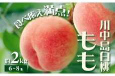 【2025年7月下旬発送】【先行予約】もも 桃 川中島白桃 2kg 6～8玉小寺農園《2025年7月下旬-8月上旬頃出荷》 岡山県 笠岡市 岡山県産 白桃 モモ 果物 フルーツ 先行予約