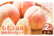 【2025年7月下旬発送】【先行予約】もも 桃 2品種詰め合わせセット 川中島白桃 白麗 サンゴールド 黄金桃 恵白 いずれか2品種をお届け 2kg 6～8玉 小寺農園《2024年7月下旬-8月中旬頃出荷》 岡山県 笠岡市 岡山県産 白桃 黄桃 モモ 果物 フルーツ 先行予約