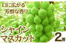 【2025年9月発送】【先行予約】シャインマスカット 岡山 2房 700g 以上《2025年9月上旬-9月中旬頃出荷》岡山県 笠岡市 石丸葡萄農園 大粒 種無し マスカット 葡萄 ぶどう フルーツ 果物 旬 極上 朝採れ 岡山 笠岡【B-22】