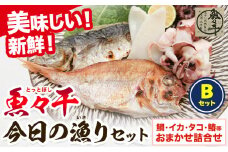 A-136 魚々干 今日の漁りセット Bセット 灰干し 鯛 イカ タコ 鰆 特定非営利活動法人 かさおか島づくり海社《45日以内に出荷予定(土日祝除く)》岡山県 笠岡市 魚 さかな 干し おまかせ 詰め合わせ 天然魚介 魚介