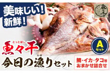A-135 魚々干 今日の漁りセット Aセット 灰干し 鯛 イカ タコ 特定非営利活動法人 かさおか島づくり海社《45日以内に出荷予定(土日祝除く)》岡山県 笠岡市 魚 さかな 干し おまかせ 詰め合わせ 天然魚介 魚介
