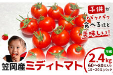 笠岡産ミディトマト2.4kg（数量限定）トマト フルーツトマト 中玉 原田農園《10月上旬-6月末頃出荷》 岡山県 笠岡市 岡山県産 トマト 野菜 笠岡市産