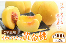 ご家庭用　おかやまの黄金桃　大玉3玉（約900g） 《2025年8月下旬-9月中旬頃出荷》