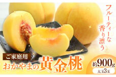 【2026年発送先行予約】ご家庭用　おかやまの黄金桃　大玉3玉（約900g） 《2026年8月下旬-9月中旬頃出荷》 岡山県 笠岡市 晴れの国おかやま館 ご家庭用 おかやまの黄金桃 先行予約 桃 黄桃 黄金桃 フルーツ 果物 果実 岡山県 笠岡市