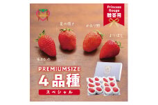 いちご　 しあわせ届けるいちご農園HappyComeComeのいちご4品種スペシャルセット《2024年12月中旬-3月下旬頃出荷》