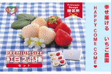 いちご　 しあわせ届けるいちご農園HappyComeComeの紅白いちご2品種食べ比べセット 400g以上《2024年12月中旬-3月下旬頃出荷》