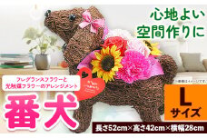 フレグランスフラワー＆光触媒エコフラワー 番犬くん Lサイズ フローリスト萬 《45日以内に出荷予定(土日祝除く)》岡山県 笠岡市 送料無料 母の日 プレゼント アレンジフラワー 枯れない