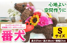 フレグランスフラワー＆光触媒エコフラワー 番犬くん Sサイズ フローリスト萬 《45日以内に出荷予定(土日祝除く)》岡山県 笠岡市 送料無料 母の日 プレゼント アレンジフラワー 枯れない