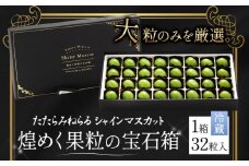 先行予約  たたらみねらる シャインマスカット 煌めく果粒の宝石箱 32粒入 ギフト シャイン マスカット 種無し ぶどう 糖度18度以上 甘い 果物 フルーツ《2025年8月下旬-10月下旬頃出荷》