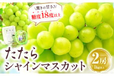 先行予約 たたらみねらる シャインマスカット 2房 計1㎏以上 先行予約 数量限定 シャイン マスカット 糖度18度以上 甘い 朝どれ ぶどう ブドウ 葡萄 岡山県産 笠岡市  《2025年8月下旬-10月下旬頃出荷》