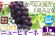 先行予約 岡山県産 ニューピオーネ （1房680g以上） 1房入り 種無し ぶどう 令和7年産先行受付《9月上旬-10月中旬頃出荷》【配送不可地域あり】H-33a