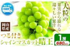 シャインマスカット　先行予約 岡山県産 シャインマスカット 「 晴王 」 つる付き １房（ 680g以上） １房入り マスカット ぶどう フルーツ シャイン 果物（令和7年産先行受付）《9月上旬-10月下旬頃出荷》【配送不可地域あり】H-30a　