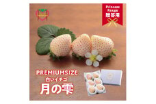いちご　しあわせ届けるいちご農園HappyComeComeの贈答用 白いちごー月のしずくーPREMIUM SIZE《2024年12月中旬-3月下旬頃出荷》