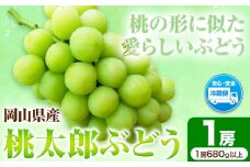 先行予約 岡山県産 桃太郎ぶどう （1房680g以上） 1房入り ぶどう フルーツ 令和7年産先行受付《9月上旬-10月中旬頃出荷》【配送不可地域あり】H-26a　