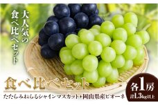 【2025年産先行予約】食べ比べセット たたらみねらる シャインマスカット 岡山県産 ピオーネ 各1房 計1.3kg以上 Y＆G.ディストリビューター株式会社《2025年8月下旬-10月下旬頃出荷》岡山県 笠岡市 マスカット ぶどう ブドウ 葡萄 フルーツ 果物