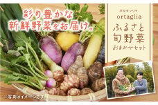 A-229 季節の旬野菜 10品 おまかせセット（農薬・化学肥料不使用）《45日以内に出荷予定(土日祝除く)》【配送不可地域あり】