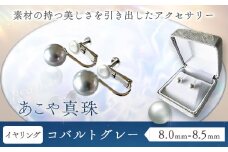 アクセサリー あこや真珠(8.0mm-8.5mm) コバルトグレー イヤリング ケース付き 富士真珠株式会社《45日以内に出荷予定(土日祝除く)》真珠 パール イヤリング 耳 両耳用 冠婚葬祭 礼服 アクセサリー 装飾品