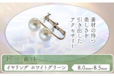 アクセサリー あこや真珠(8.0mm-8.5mm)ホワイトグリーン イヤリング ケース付き 富士真珠株式会社《45日以内に出荷予定(土日祝除く)》真珠 パール イヤリング 耳 両耳用 冠婚葬祭 礼服 アクセサリー 装飾品